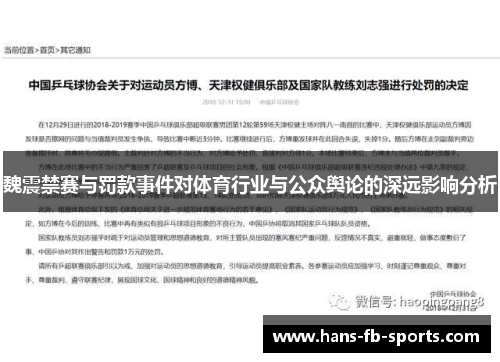 魏震禁赛与罚款事件对体育行业与公众舆论的深远影响分析